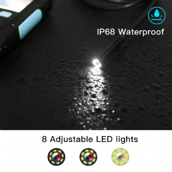YYP60B