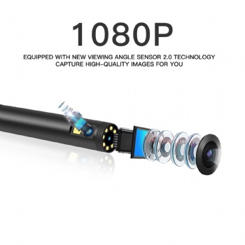YYP50