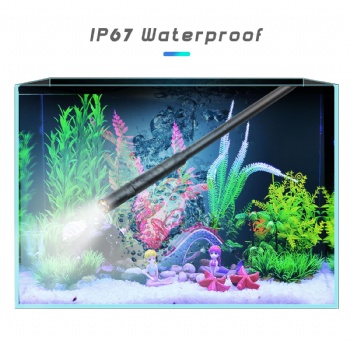YYP40